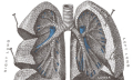Astma bronchiale