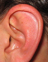 Bolest v uchu