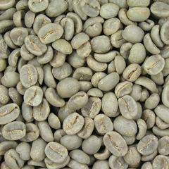 Jak správně hubnout se zelenou kávou